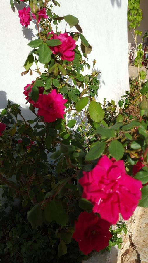 Vila Giardini Di Lanzo Martina Franca Exteriér fotografie
